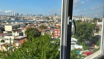 Apartment with Sea View | Minibar, meja kerja, setrika/meja setrika, dan Wi-Fi gratis