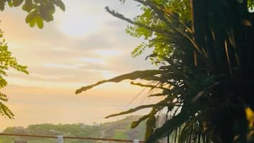 Junior Room | Egyptian cotton sheets, premium bedding, pillowtop beds