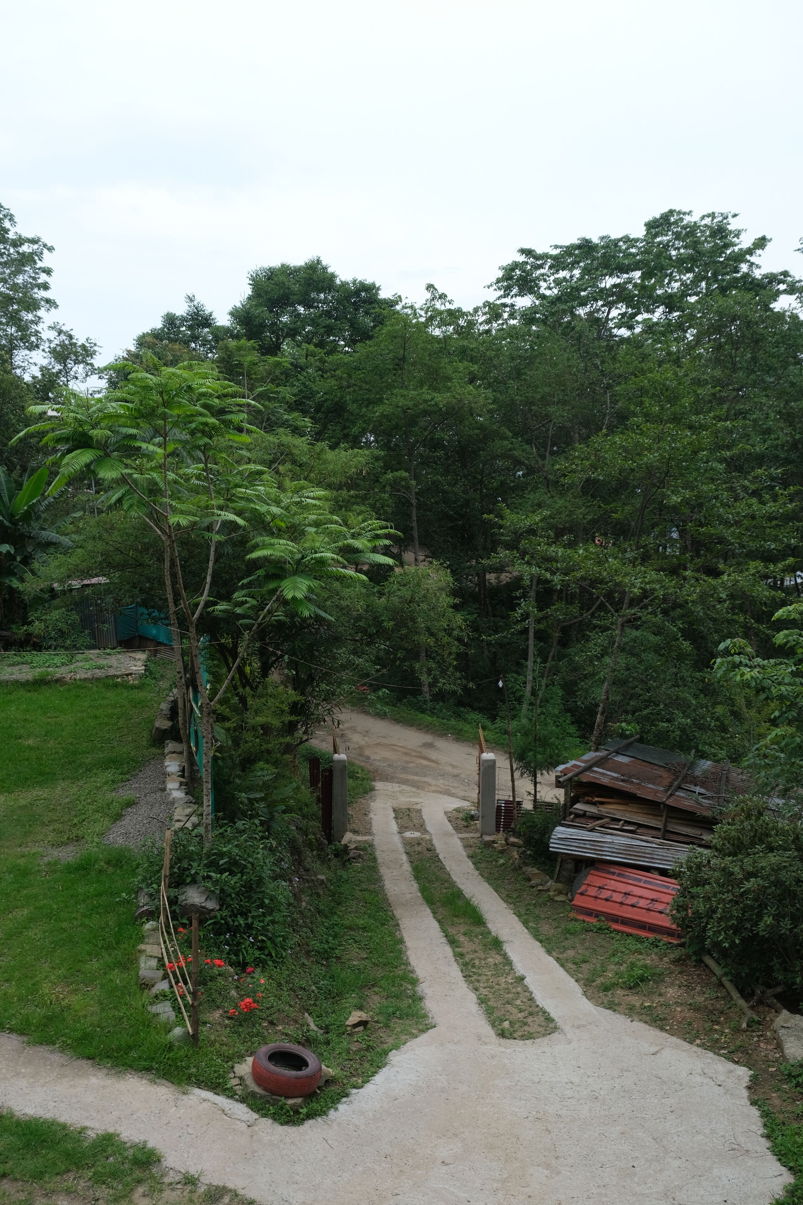 A pathway leading through a lush garden with a small shed and a tire in the foreground.