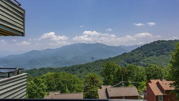 A residential area with houses and a mountain range in the background.