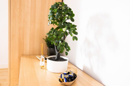 Gorgeous 3-bedroom Cottage by the River in Reading