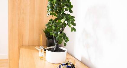 Gorgeous 3-bedroom Cottage by the River in Reading