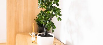 Gorgeous 3-bedroom Cottage by the River in Reading