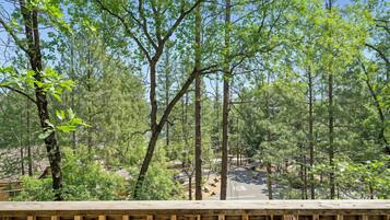 House, 3 Bedrooms | Property grounds