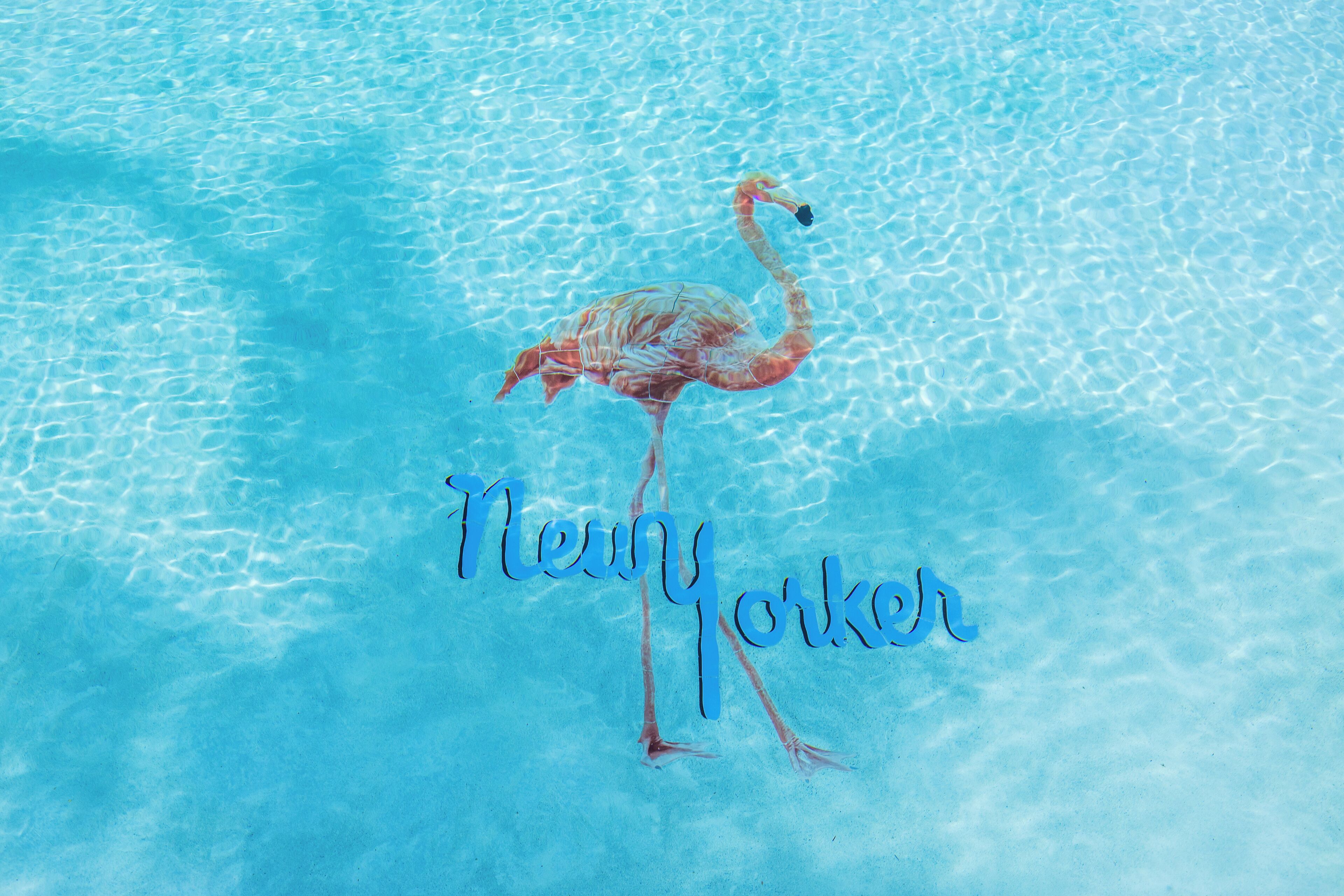 Photo - The New Yorker Hotel Miami