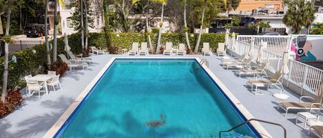 A rectangular pool with clear blue water, surrounded by white lounge chairs and umbrellas, with palm trees and a white fence in the background.