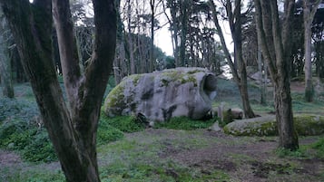 Miscellaneous