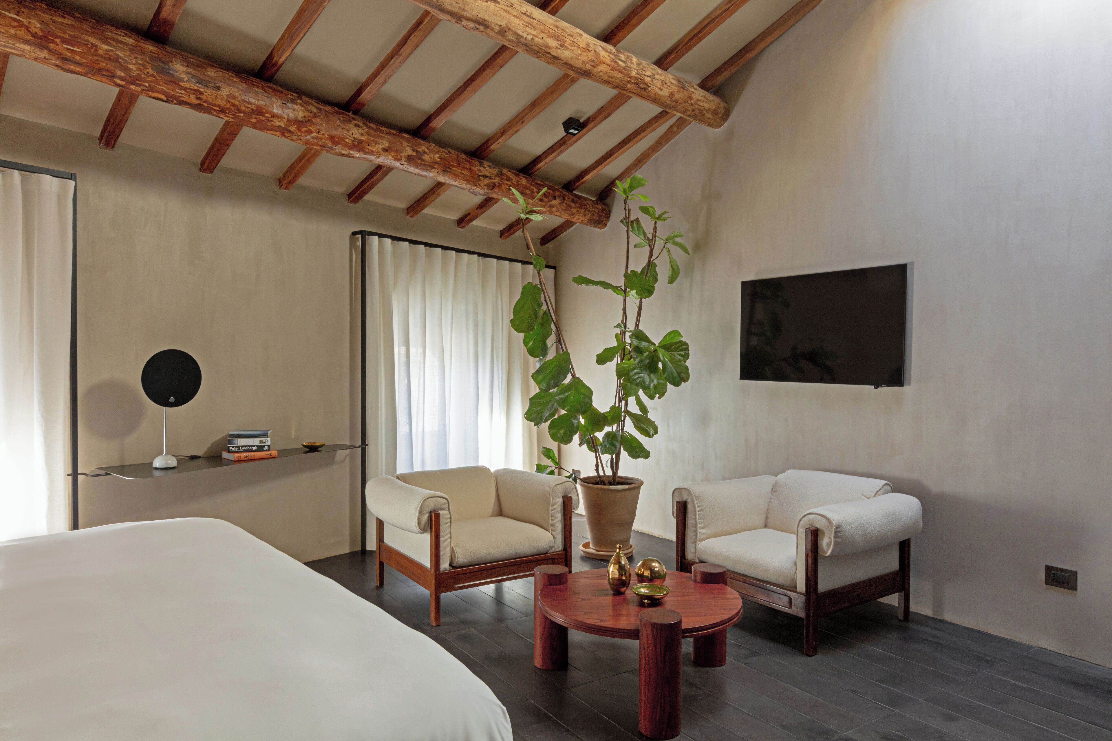 Une chambre d’hôtel moderne avec un lit, deux canapés, une table basse et une plante en pot.