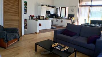 Télévision, cheminée, table de tennis de table, livres