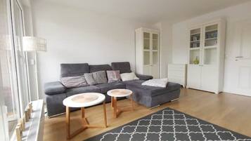 Smart-TV, DVD-Player, Bücher, Computerbildschirme