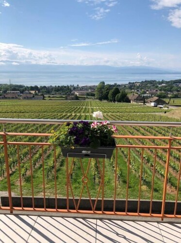 Mont-sur-Rolle Apartment with panoramic view