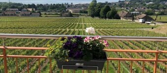 Mont-sur-Rolle Apartment with panoramic view