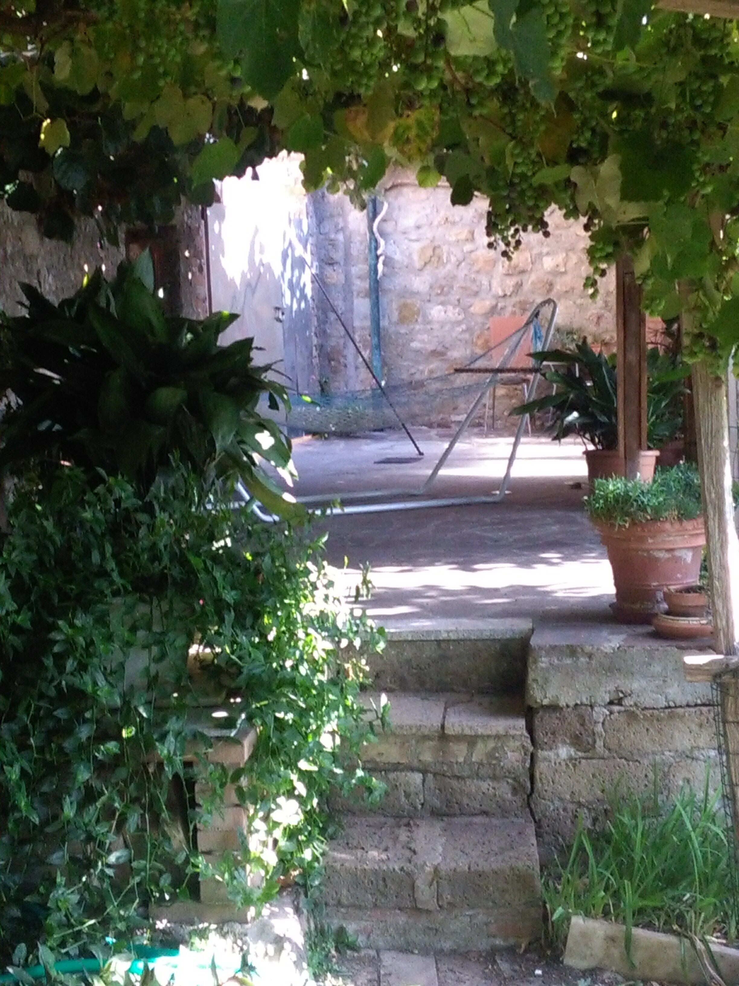 A stone staircase leading to a courtyard with potted plants and a metal ladder.