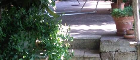 A stone staircase leading to a courtyard with potted plants and a metal ladder.