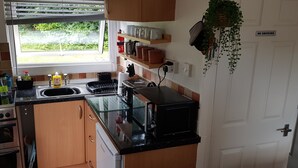 Una cocina compacta con ventana, microondas, tostadora y pileta.