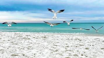 Beach nearby, sun loungers, beach towels