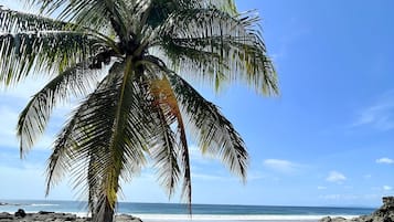 Serviettes de plage