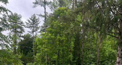 Saratoga Garden Motel - Room 4