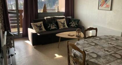 7 couchages + bébé, sur les pistes