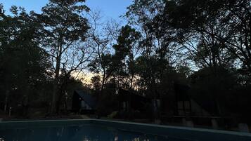 Una piscina rodeada de árboles con un cielo despejado.