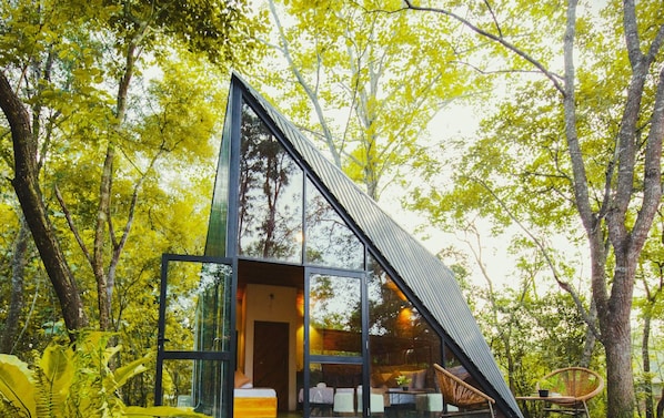 A modern, glass-walled cabin in a forest, with a visible bed and seating area.