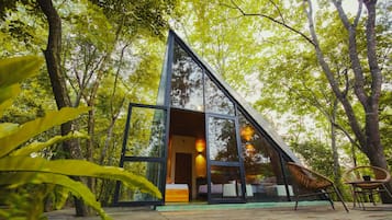 A modern glass house with a triangular roof, surrounded by lush green trees.
