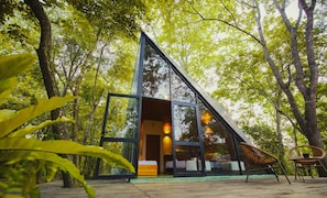 A modern glass house with a triangular roof, surrounded by lush green trees.