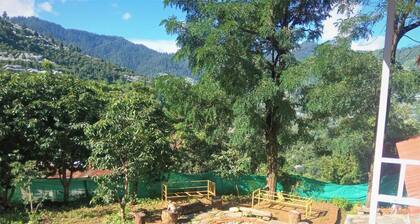 A serene Home Stay in the Himalayan village near Narkanda
