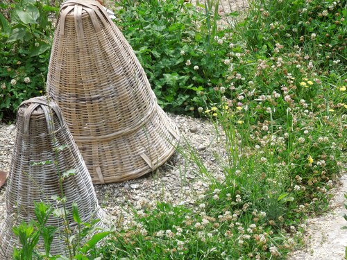 A serene Home Stay in the Himalayan village near Narkanda