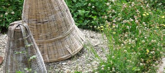 A serene Home Stay in the Himalayan village near Narkanda