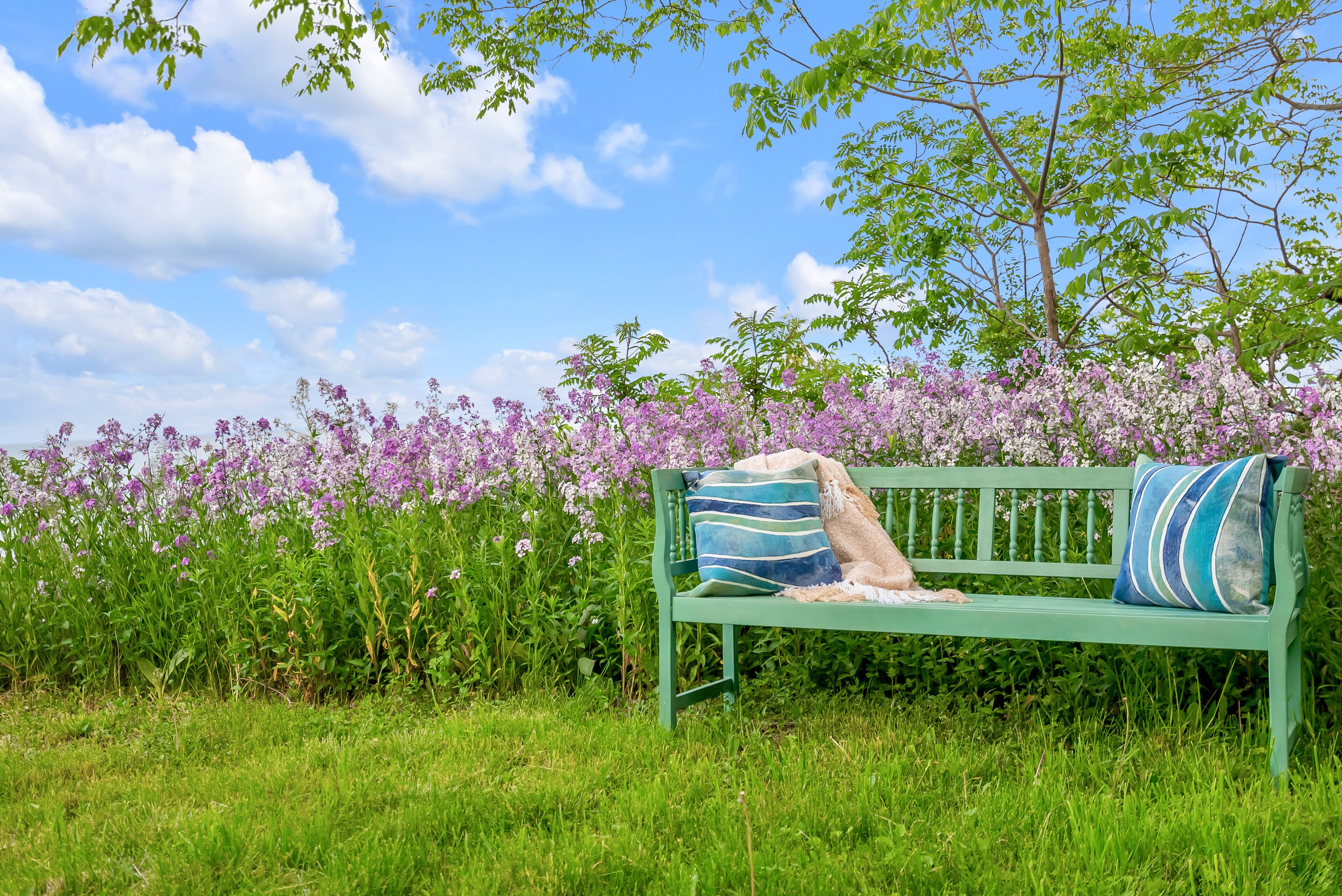 Terrain de l’hébergement 