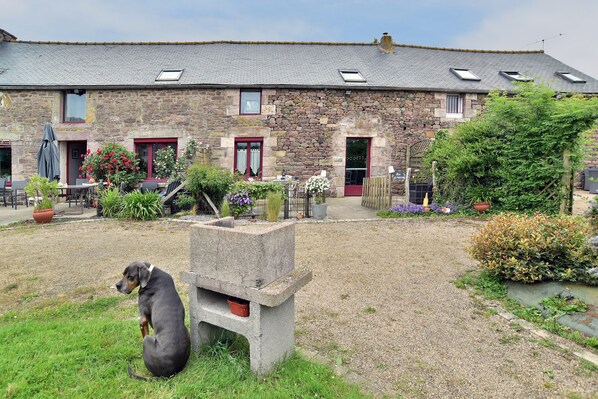A stone building with a gravel courtyard, a dog sitting on a bench, and various potted plants.