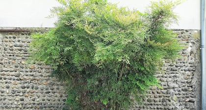 GĂźte des ArĂšnes Le T2