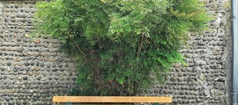 Gîte des Arènes Le T2