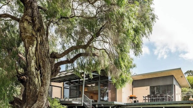 Ein modernes Haus mit einem großen Baum im Vordergrund, einem überdachten Außenbereich und einem zweistöckigen Bau.