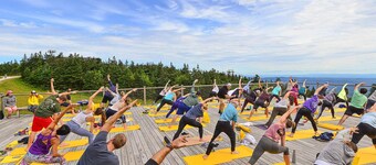 5 minute walk to lifts and Stratton Village! Cozy fireplace with a private patio