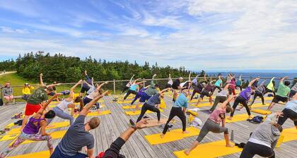 5 minute walk to lifts and Stratton Village! Cozy fireplace with a private patio