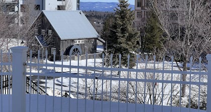 5 minute walk to lifts and Stratton Village! Cozy fireplace with a private patio