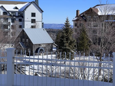 5 minute walk to lifts and Stratton Village! Cozy fireplace with a private patio