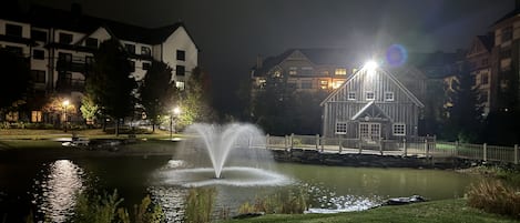 A nighttime view of a lake with a fountain, surrounded by buildings and a wooden structure labeled "Ice Skating".