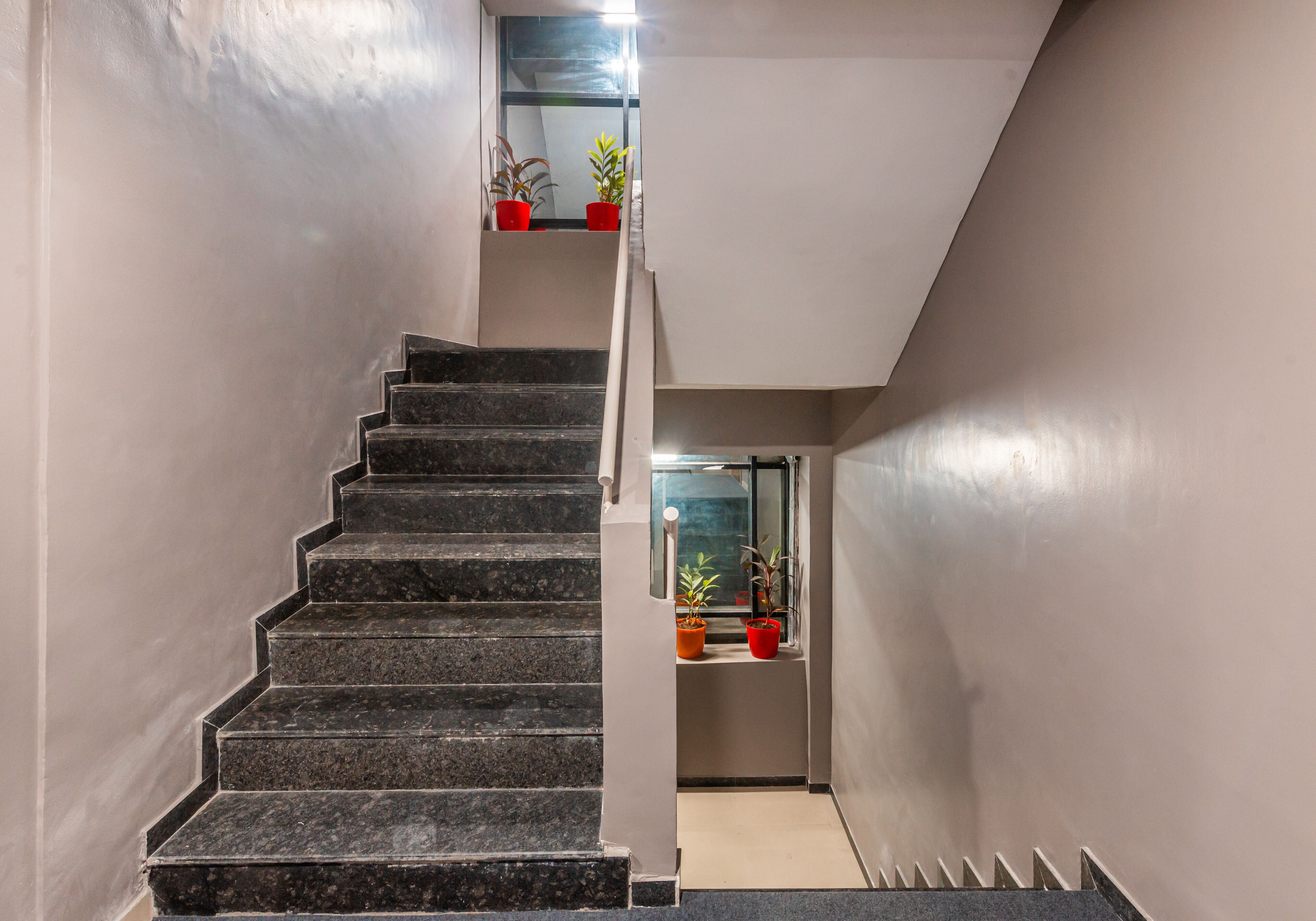 Photo - Treebo Cocostay, Hadapsar