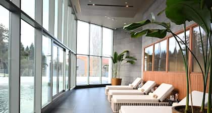 Swissotel Uludag Bursa