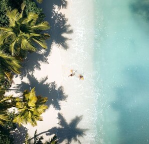 A beach with palm trees and a clear view of the ocean.