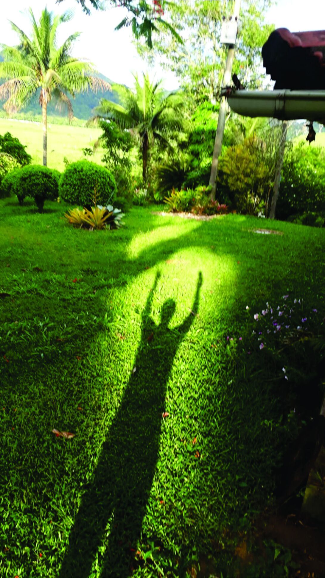 Overnatningsstedets område