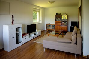Smart TV, chimenea, libros y biblioteca musical 