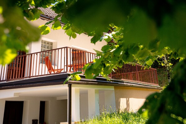 Exterior - Elegant Villa in a Beautiful Village (Brežice)