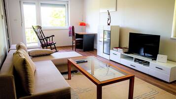 Smart TV, fireplace, books, music library