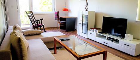 Smart TV, fireplace, books, music library