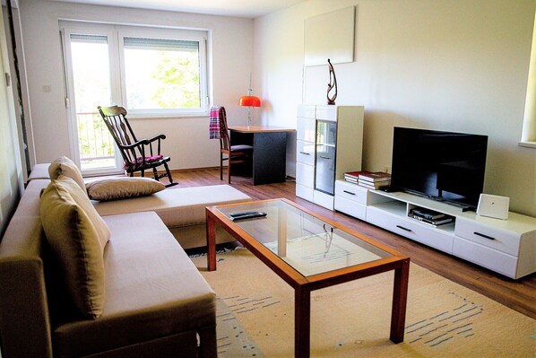 Smart TV, fireplace, books, music library