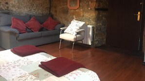 A cozy room with a stone wall, a grey sofa with red cushions, a white armchair, and a wooden door. - Casa Rural Luey (luey)